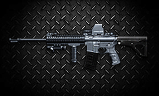Elwrci m6a2